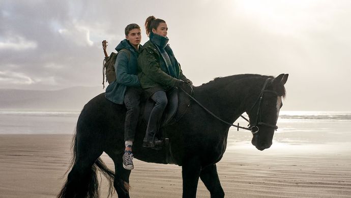 500 Miles | Filmhuis De Lawei