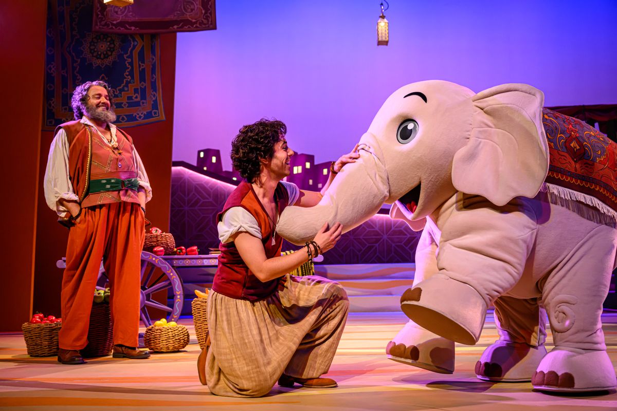 Van Hoorne Studios - Aladdin de musical