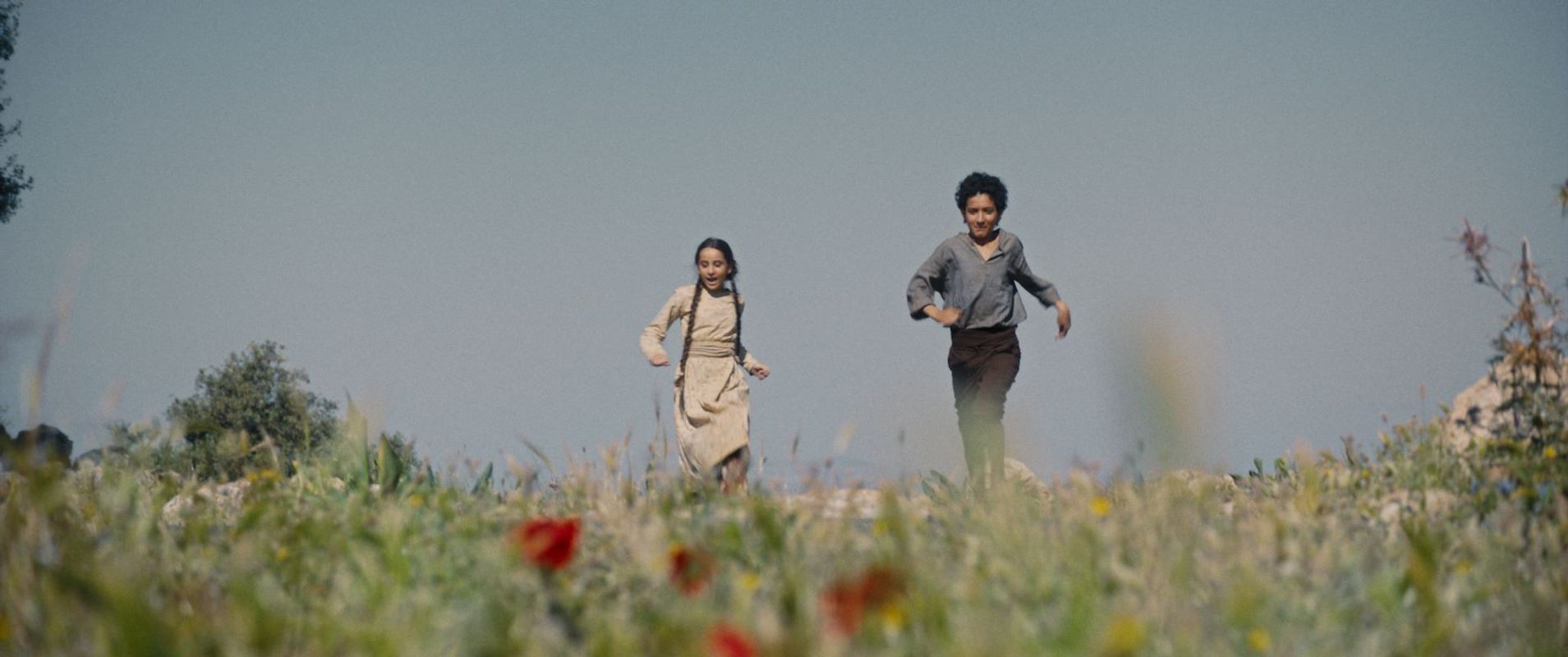 Palestine 36 | Filmhuis De Lawei