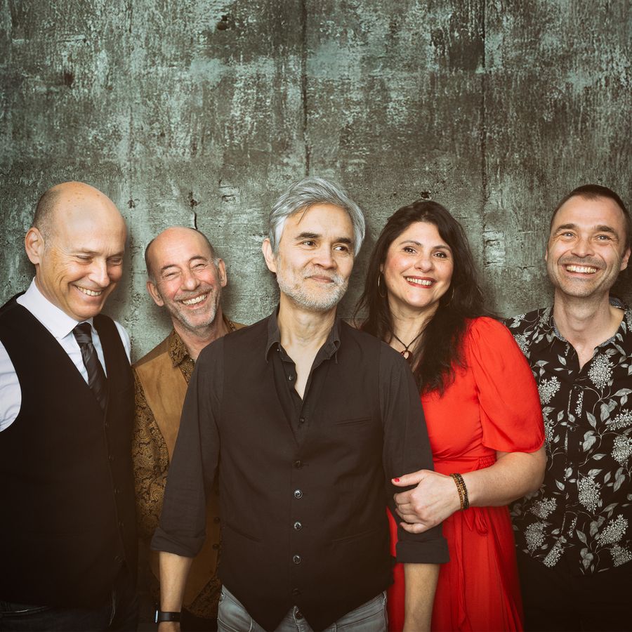 The 70's Unplugged met Forever Young in Schouwburg De Lawei