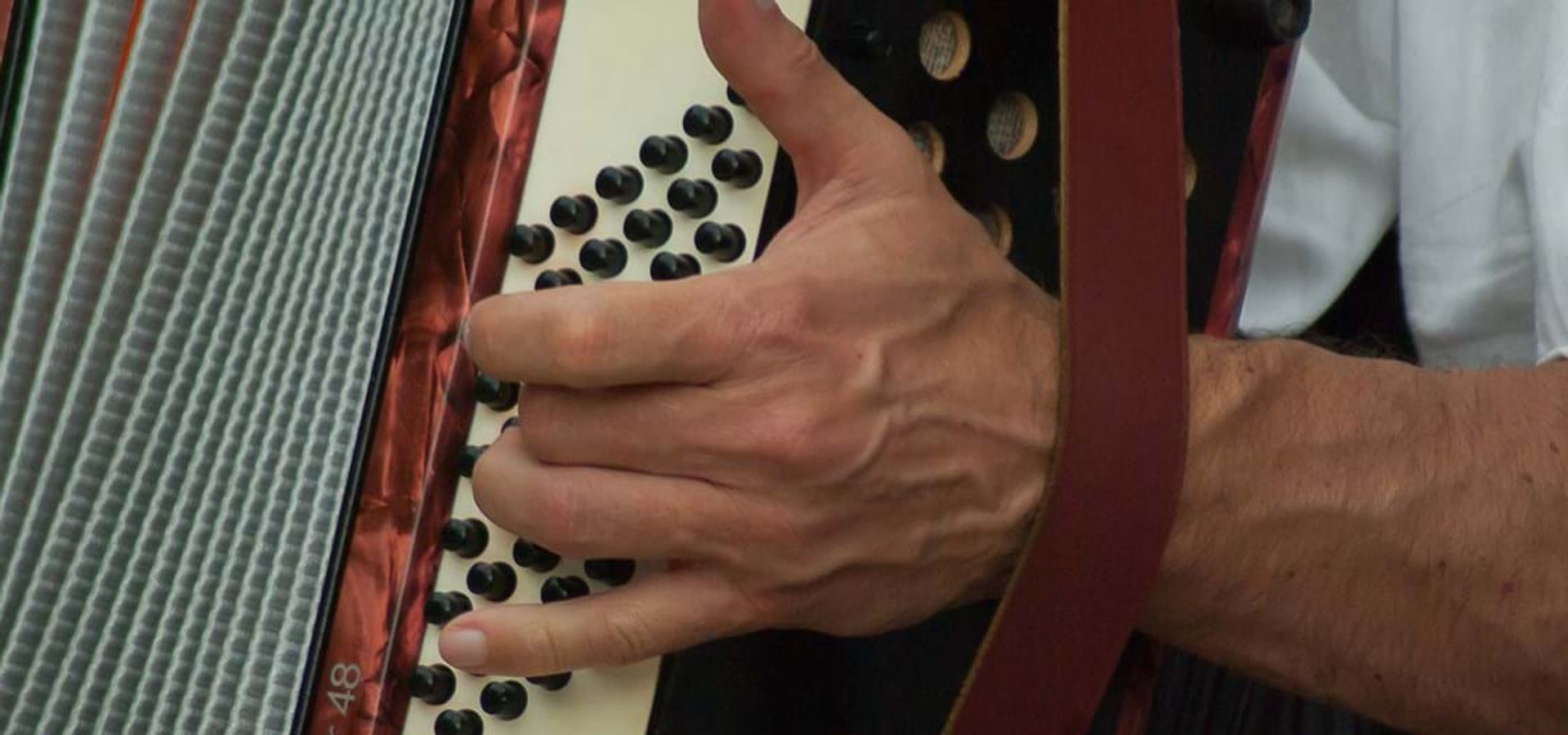 Accordeon Ensemble o.l.v Hotze Jelsma in De Lawei