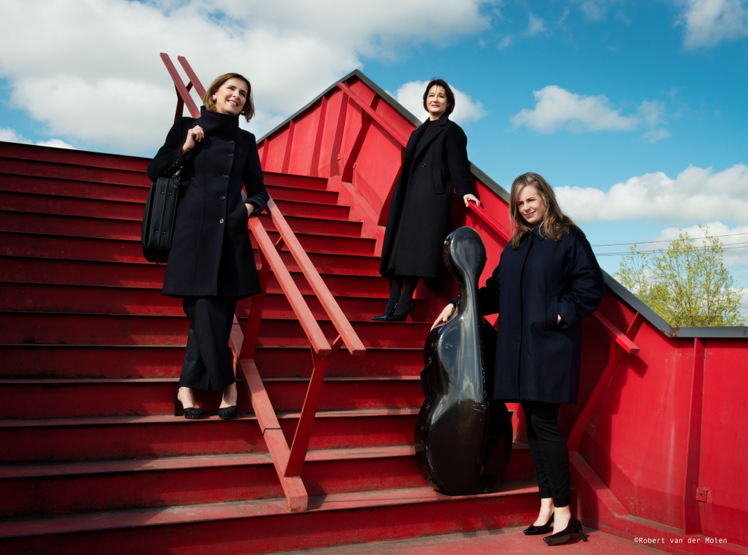 Gauguin Ensemble - Beethoven en Bruch