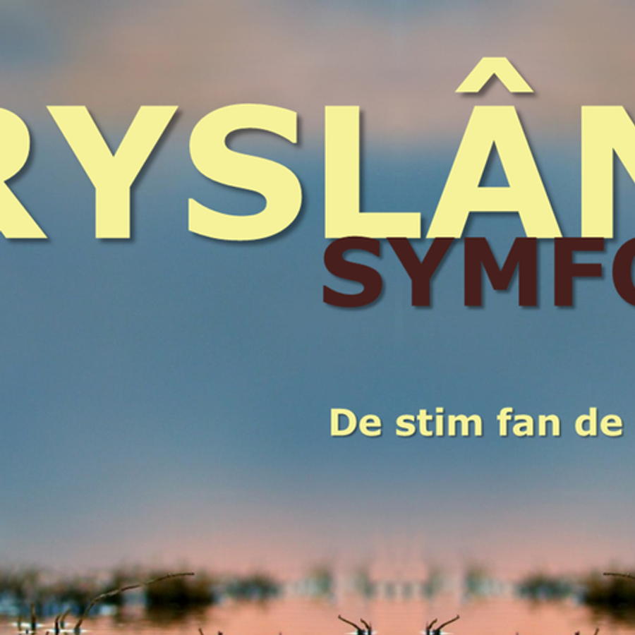 Fryslân Symfony - De stim fan de reiddomp | De Lawei