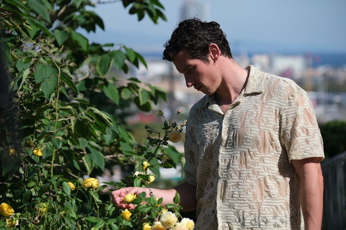 Rosebush Pruning | Filmhuis De Lawei