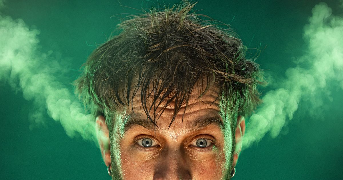 Pieter Verelst — Altijd aan