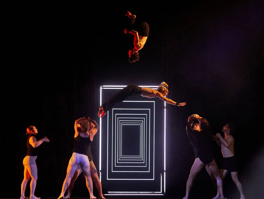 Gravity & Other Myths - The Mirror