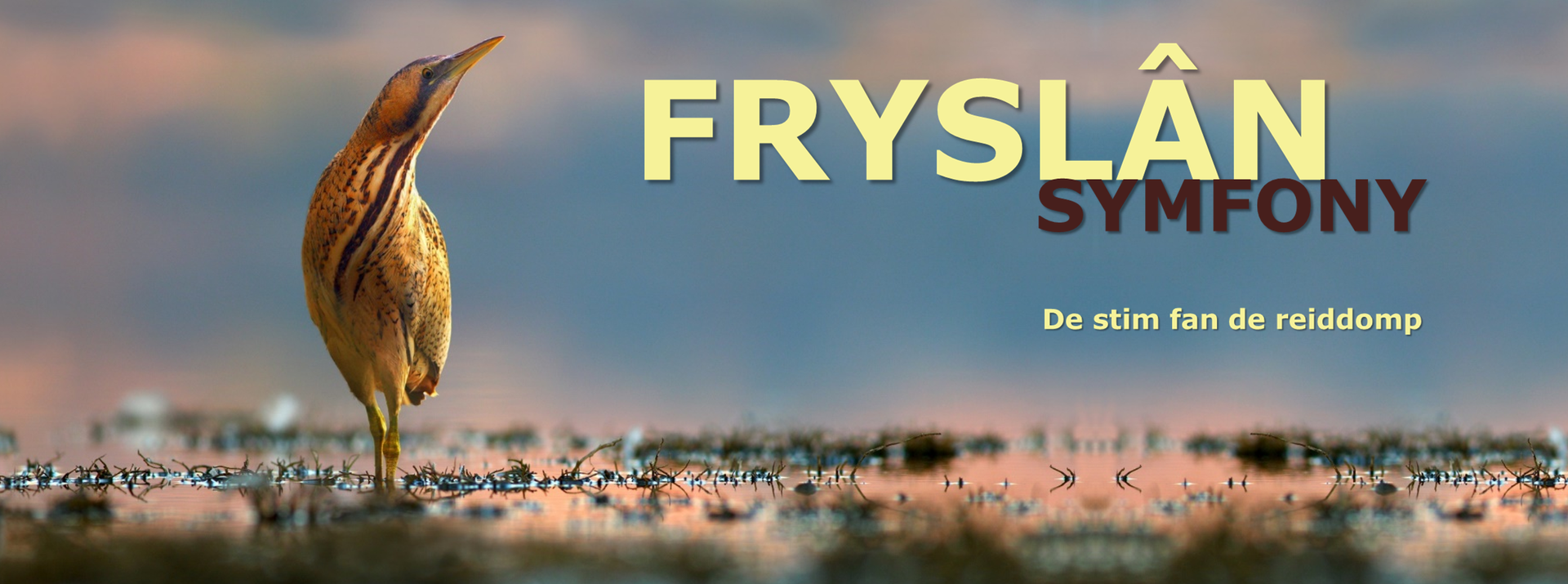 Fryslân Symfony - De stim fan de reiddomp | De Lawei