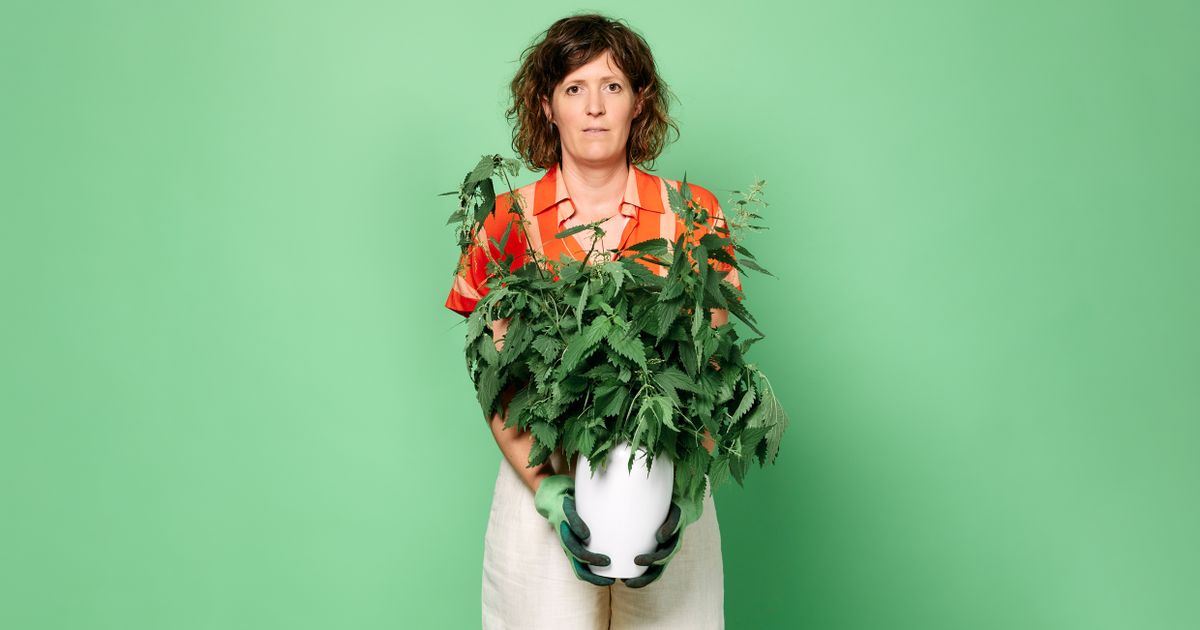 Janneke de Bijl — Pluk eventueel de dag