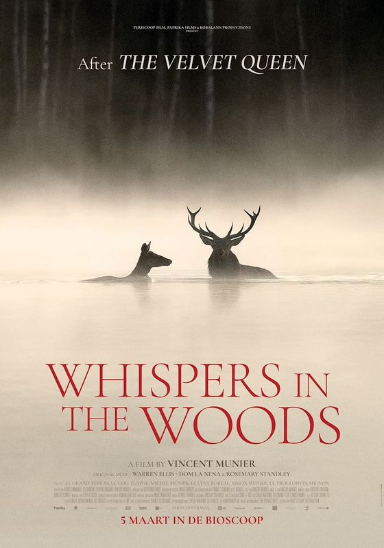 Whispers in the Wood
