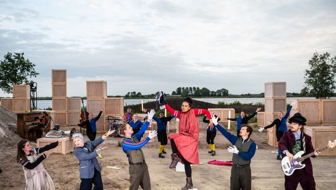De revolutie van de Rinsema's